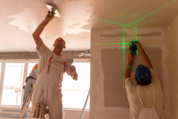 Best Water-Damaged Drywall Repair  in Pquemine, LA